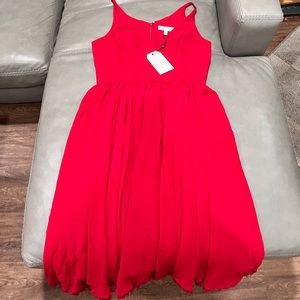 Dress the Population Red dress